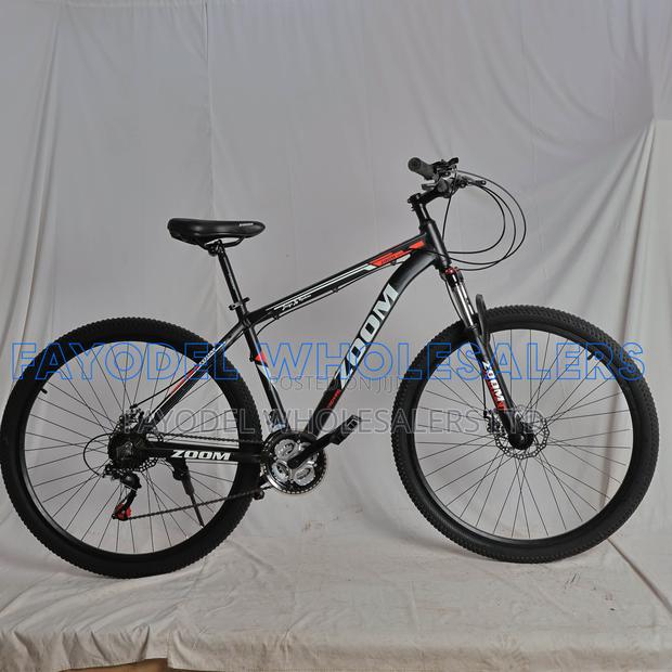 Zoom Adult Mountain Bike 29" – 21-Speed