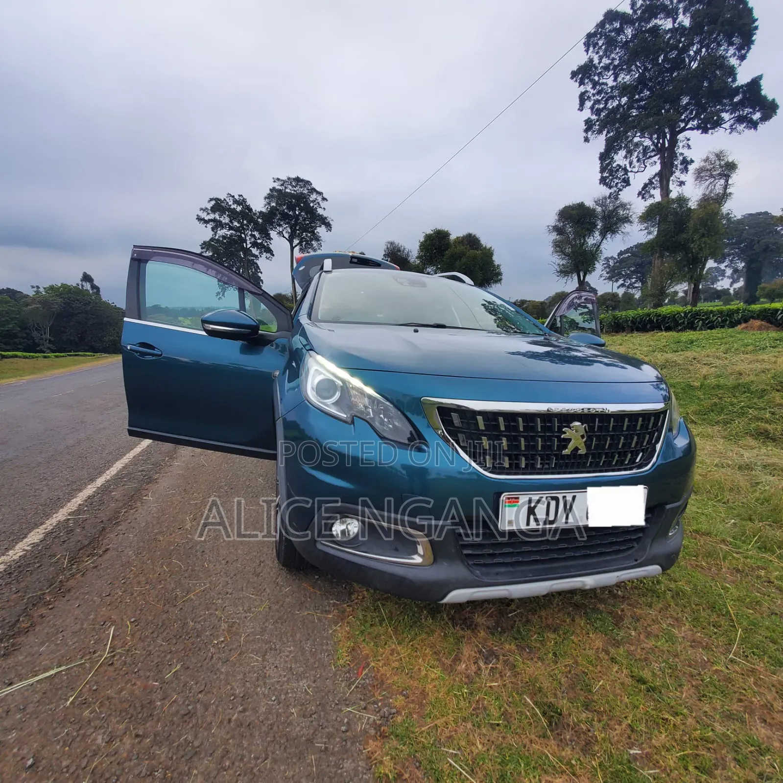 Peugeot 2008 2019 Blue