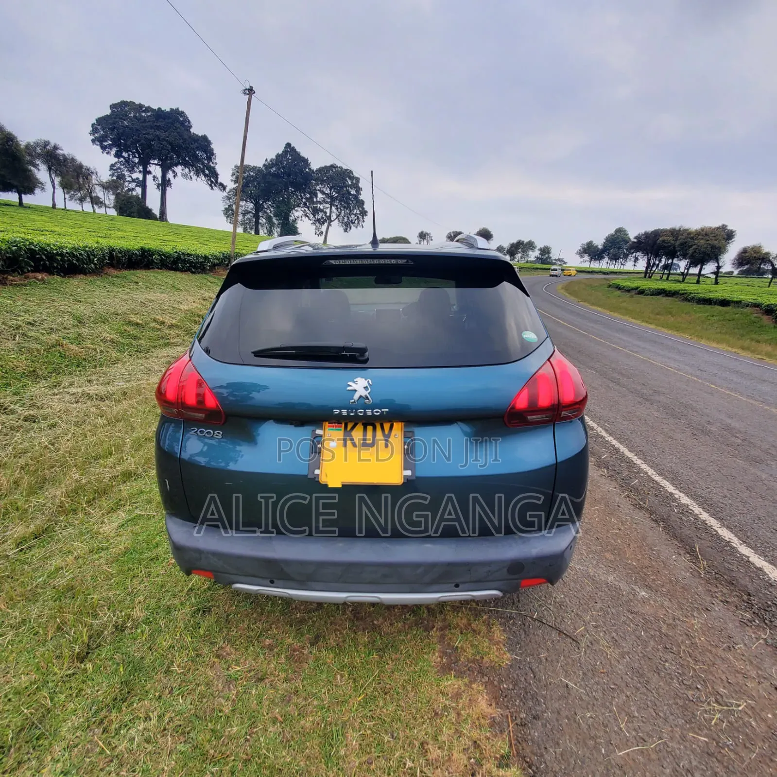 Peugeot 2008 2019 Blue