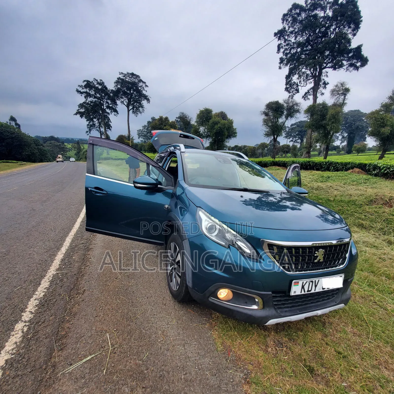 Peugeot 2008 2019 Blue