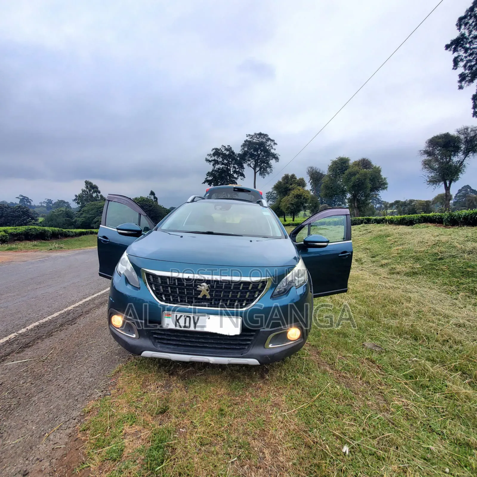 Peugeot 2008 2019 Blue