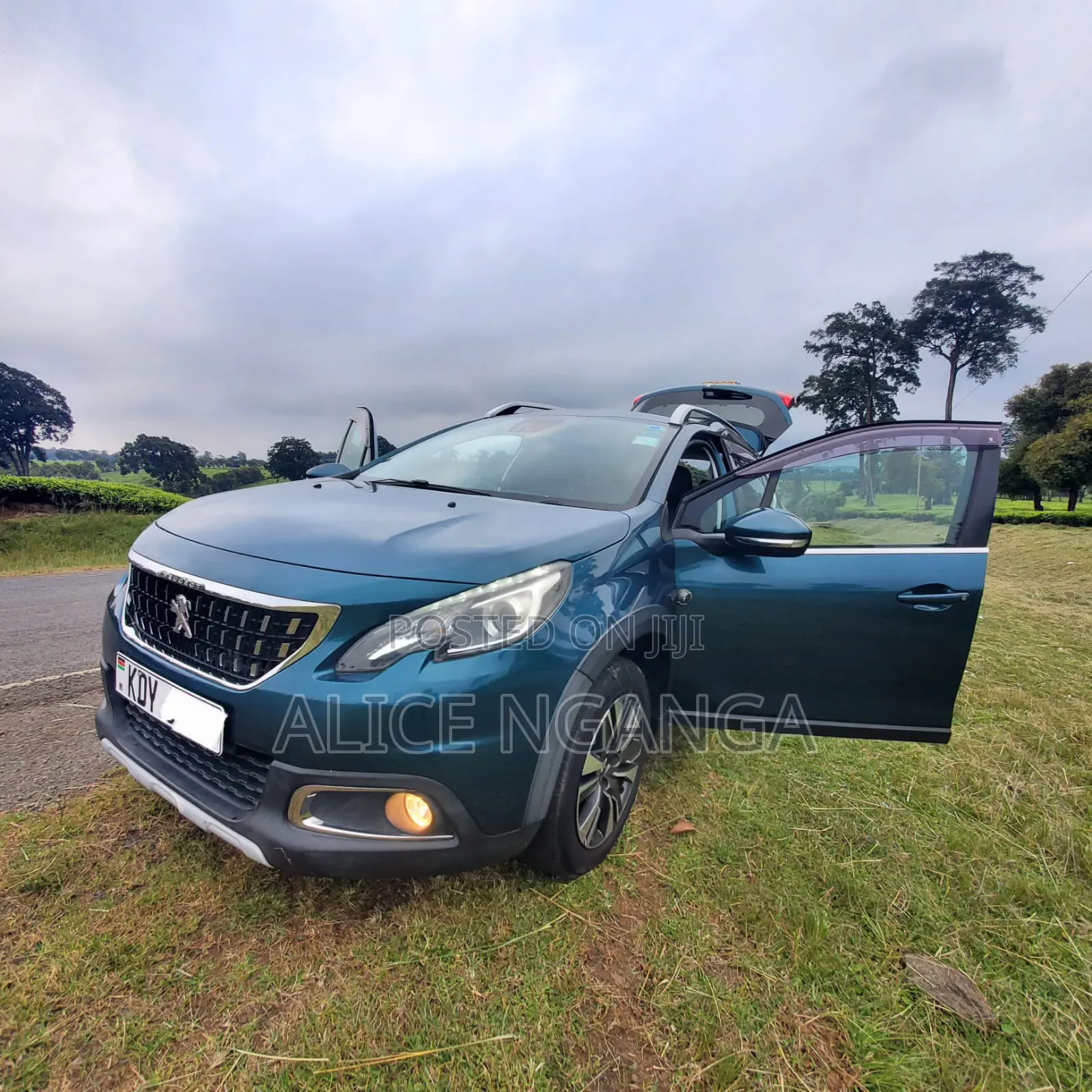 Peugeot 2008 2019 Blue