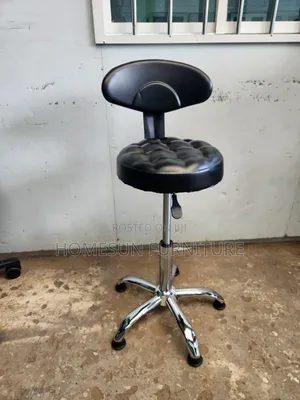 Lab Stool With Back Rest