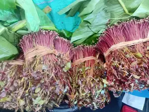 Miraa/Veve/Shambaĺ