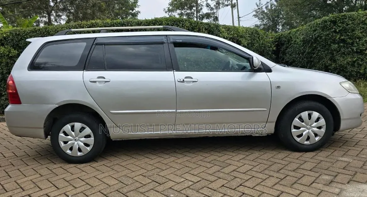 Toyota Corolla Fielder 2005 Silver