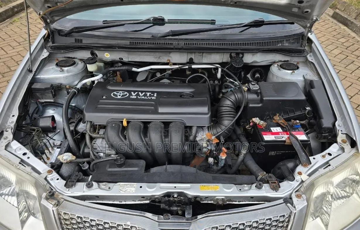 Toyota Corolla Fielder 2005 Silver