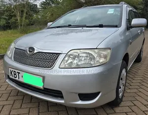 Toyota Corolla Fielder 2005 Silver