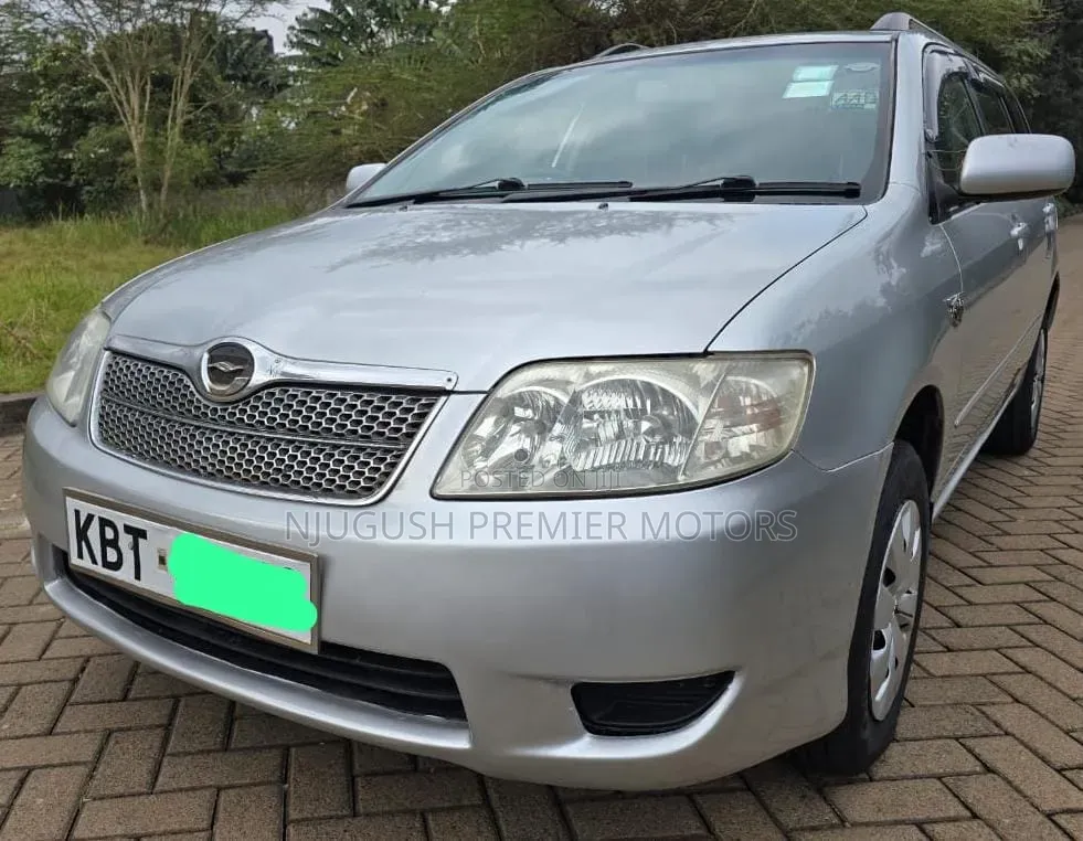 Toyota Corolla Fielder 2005 Silver