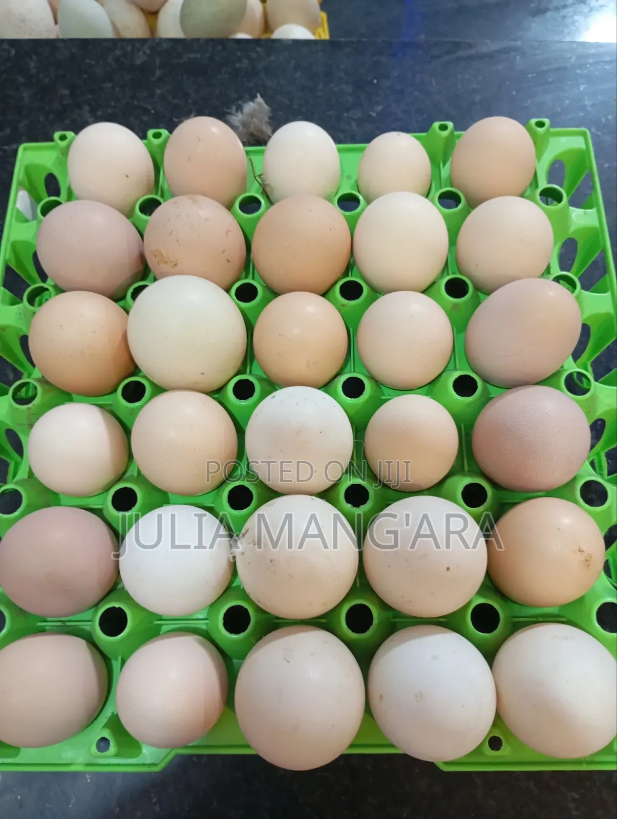Chicken Eggs