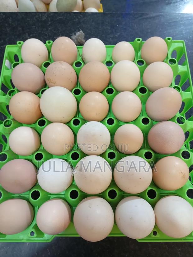 Chicken Eggs