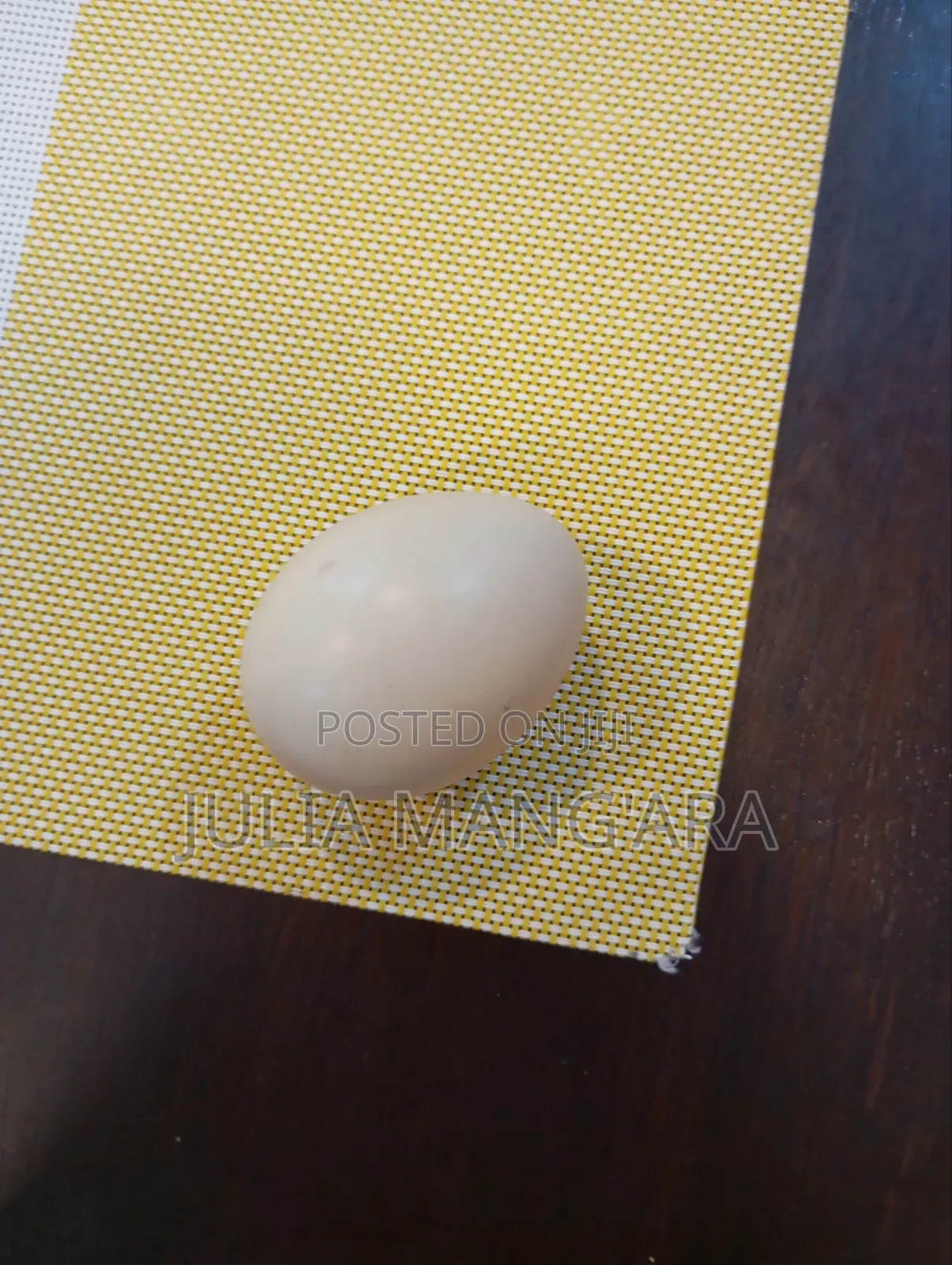 Goose Eggs
