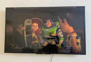 Sony Bravia