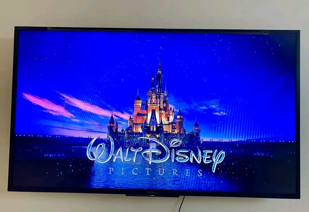 Sony Bravia