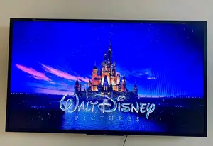 Sony Bravia