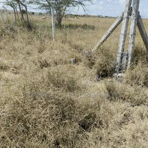 10.8 Acres at Konza/ Malili