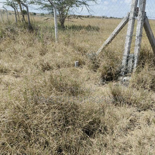 10.8 Acres at Konza/ Malili