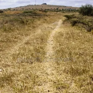 10.8 Acres at Konza/ Malili