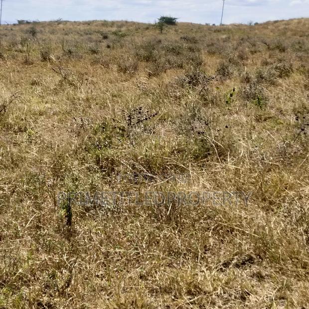 10.8 Acres at Konza/ Malili - thumbnail 5