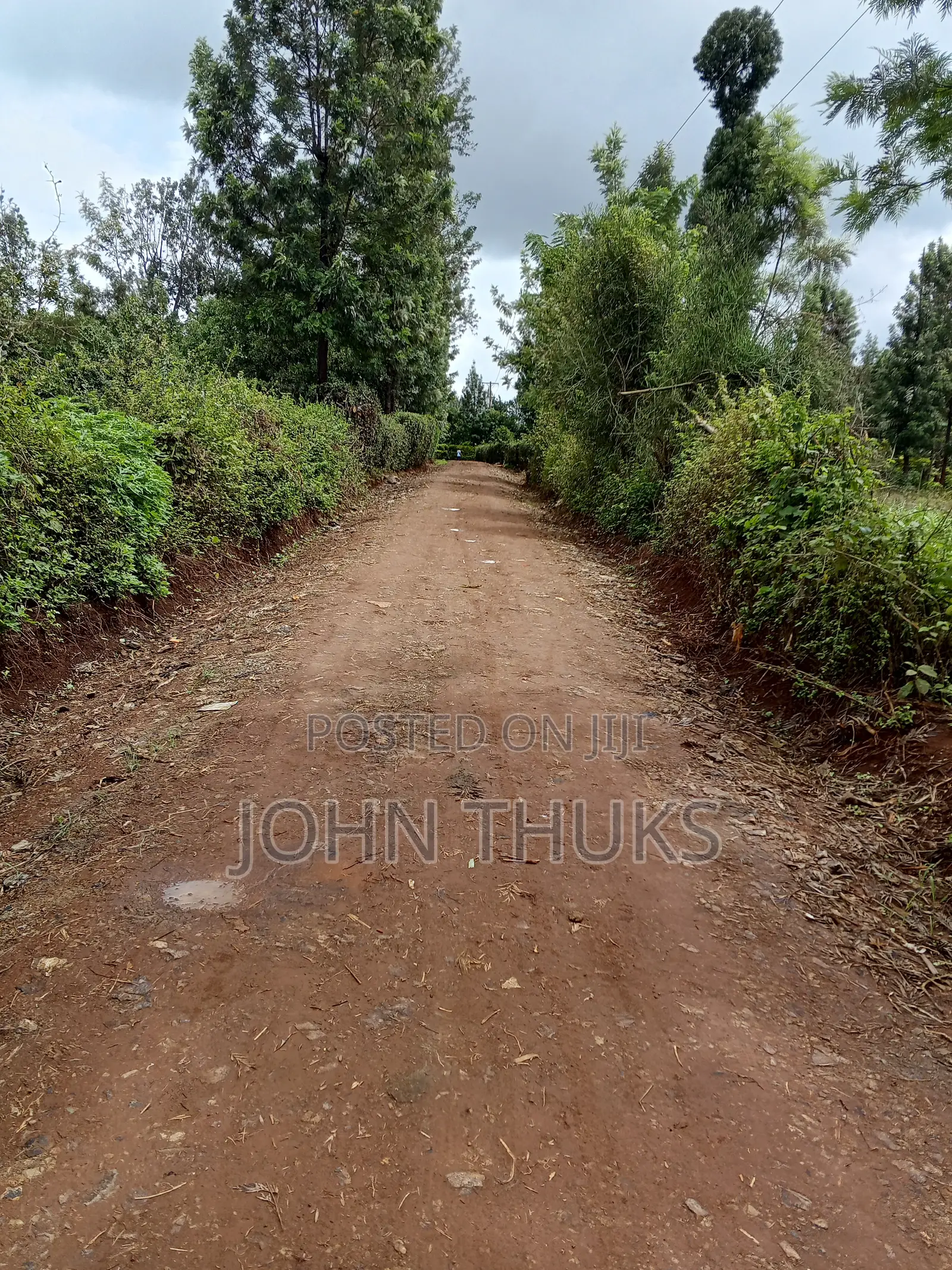 Land Kutus-Kerugoya 1⁄8 Acre