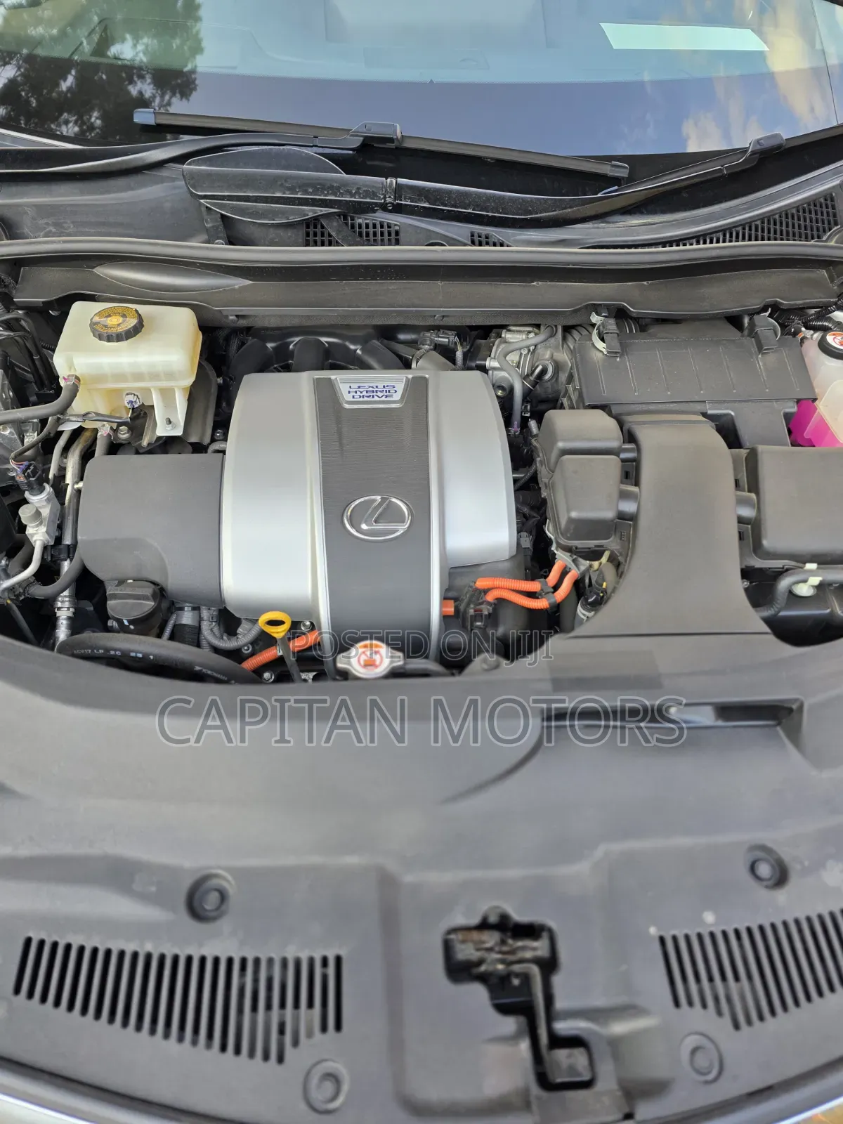 Lexus RX 450H AWD 2019