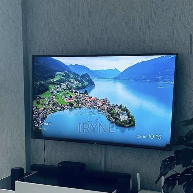 55 Inch Television Sony Bravia