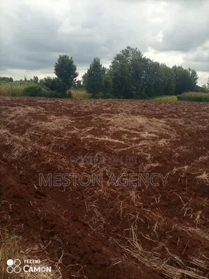 4 Acres Kagio Kirinyaga