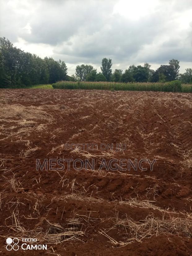 4 Acres Kagio Kirinyaga - thumbnail 3