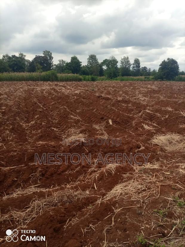 4 Acres Kagio Kirinyaga - thumbnail 4