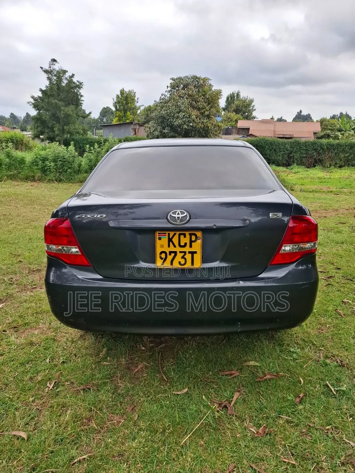 Toyota Axio 2011 Gray