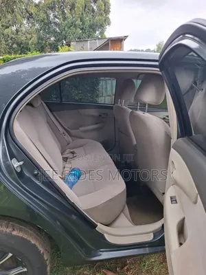 Toyota Axio 2011 Gray