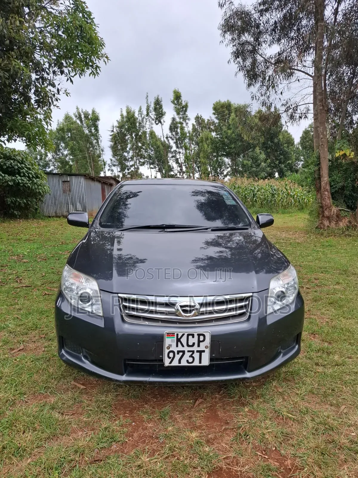 Toyota Axio 2011 Gray