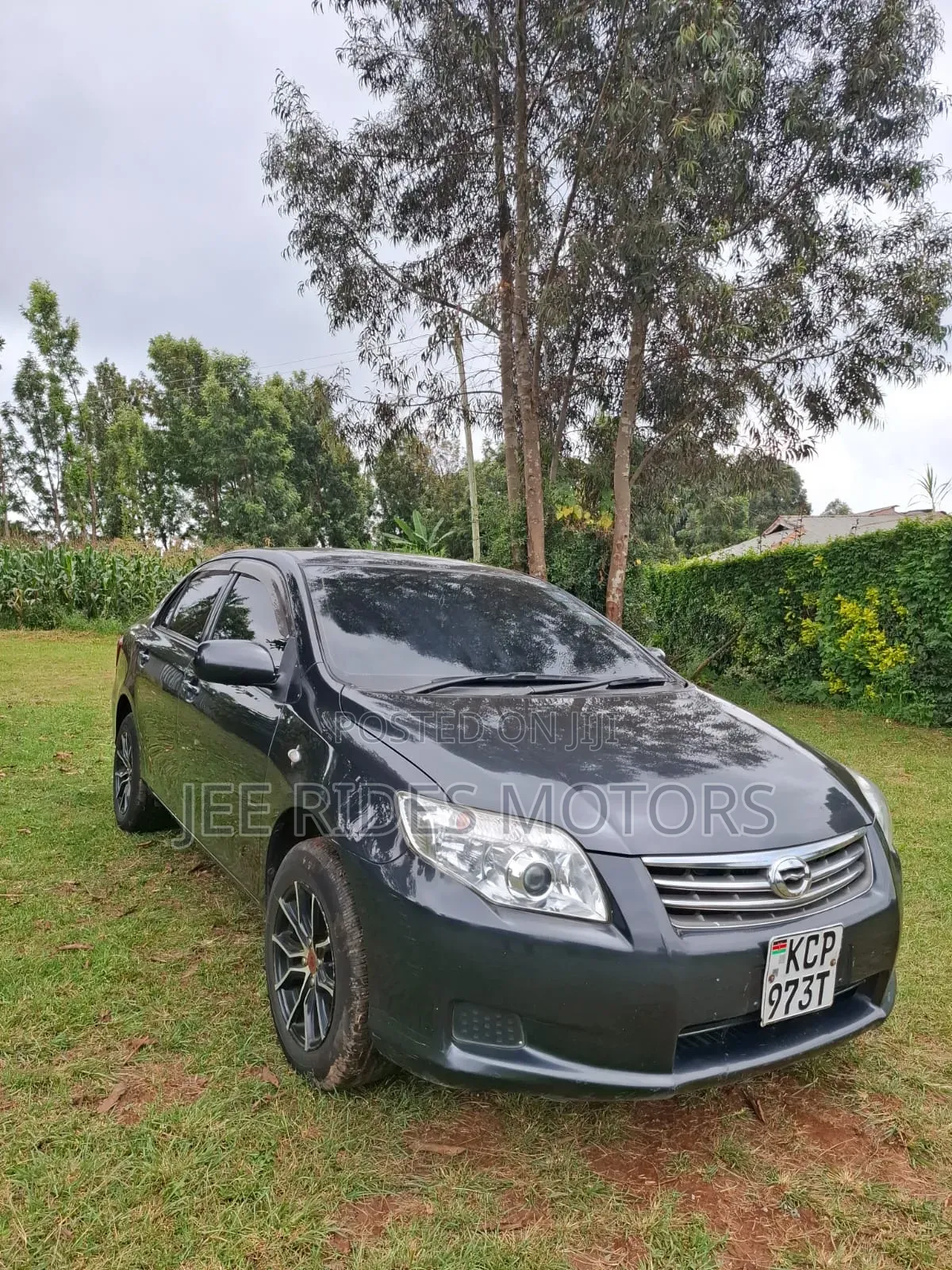 Toyota Axio 2011 Gray