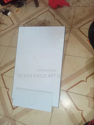 Starlink Standard Kit
