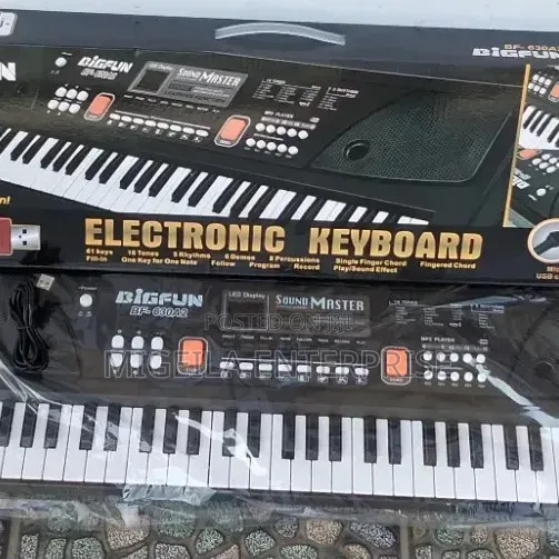 Piano Keys 61