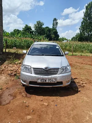 Toyota Corolla Fielder 2008 Silver