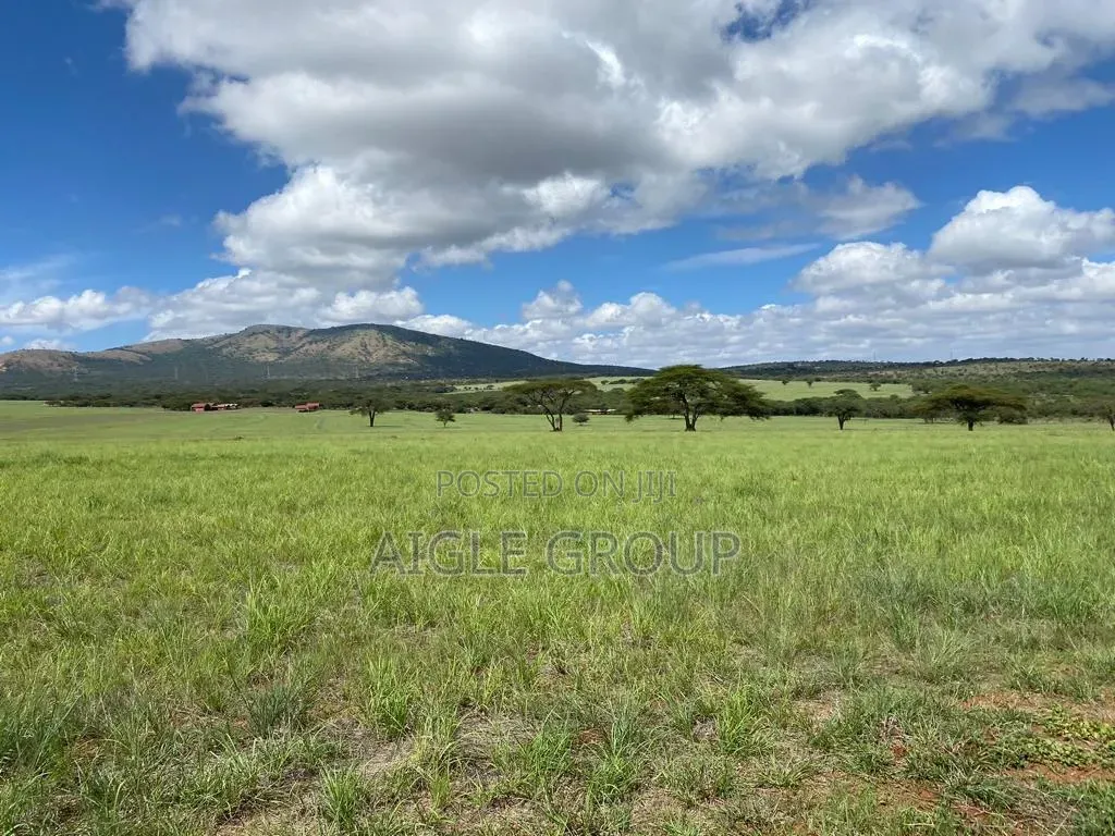 5 Acres PrimeLand Bisil Namanga Rd on Sale!