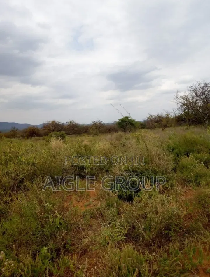 5 Acres PrimeLand Bisil Namanga Rd on Sale!