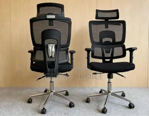 Ooffice Orthopaedic Chair With Back Support