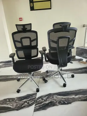 Ooffice Orthopaedic Chair With Back Support
