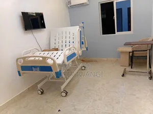 Double Crank Bed (With Mattress)