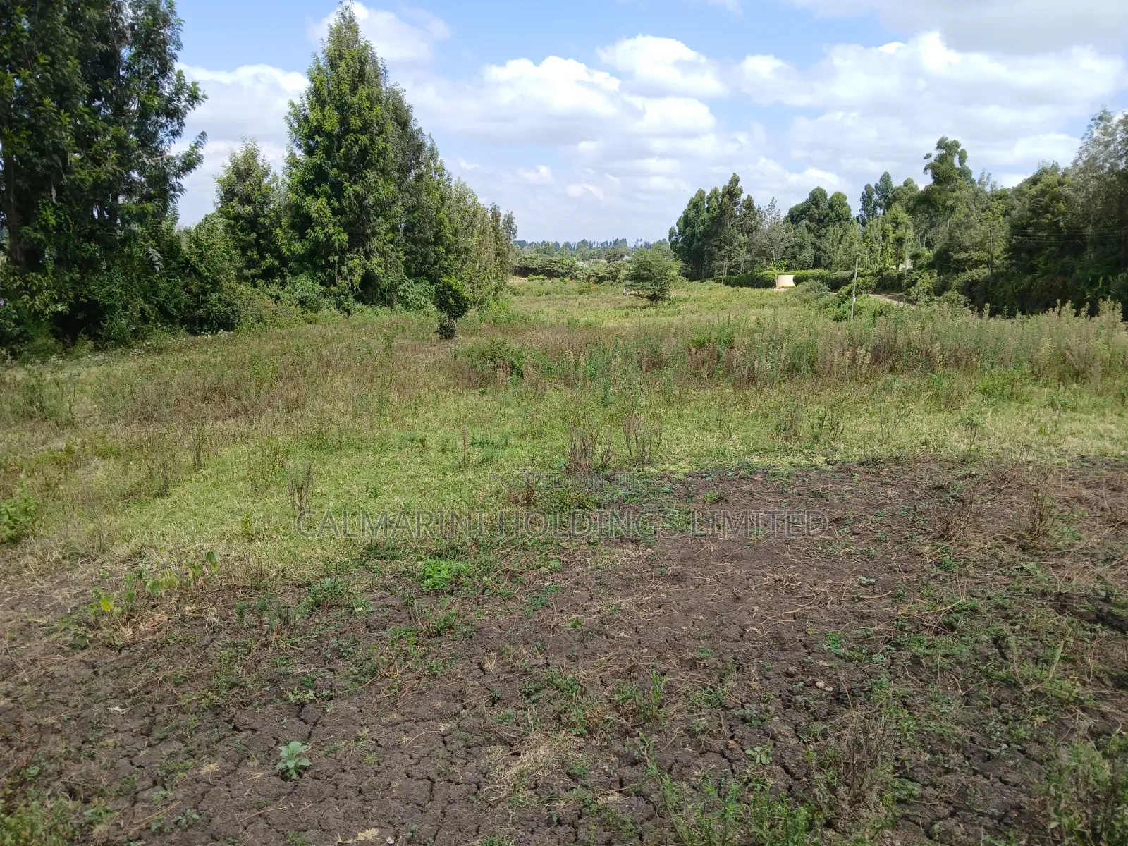 Prime Lipa Pole Pole Plots in Matasia, Ngong Near Tarmac