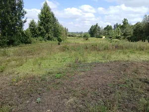 Prime Lipa Pole Pole Plots in Matasia, Ngong Near Tarmac