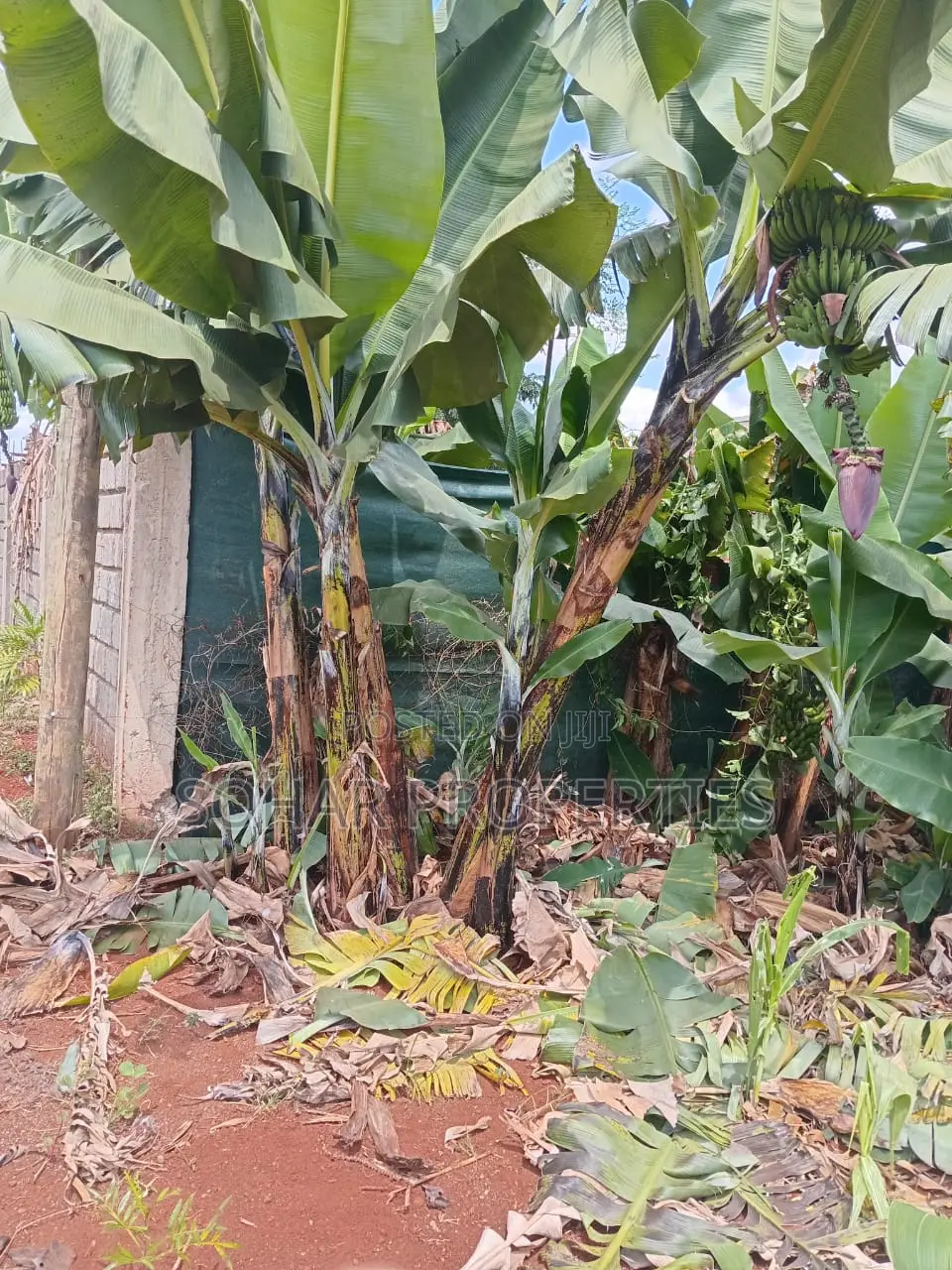 Thika Westwood Estate (Karangaita) - 1⁄2 Acre Plot on Quick Sale