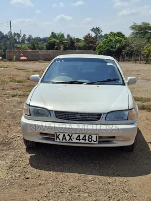 Toyota Corolla 1999 Gray