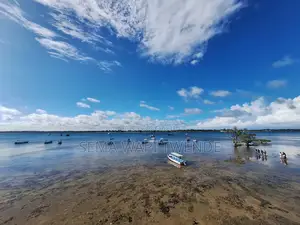 Wasini Island Trip