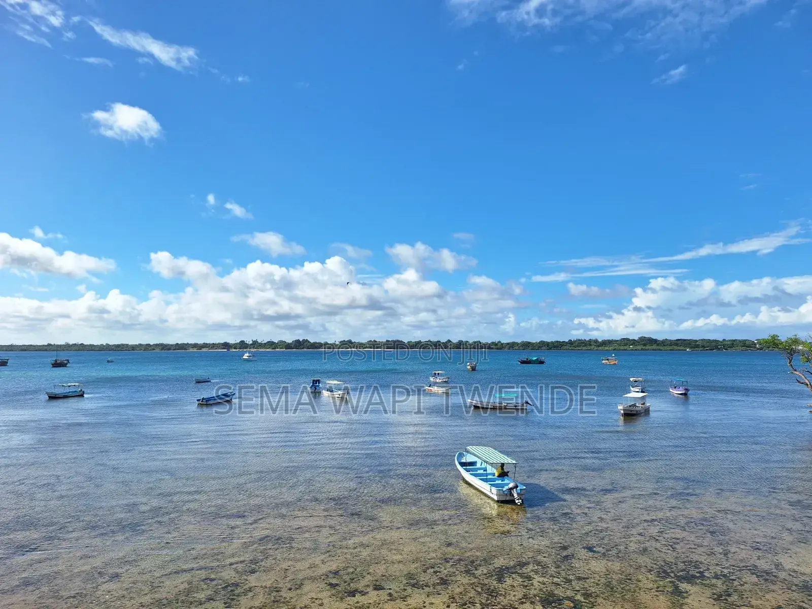 Wasini Island Trip