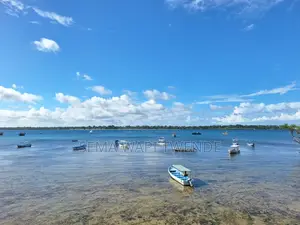 Wasini Island Trip