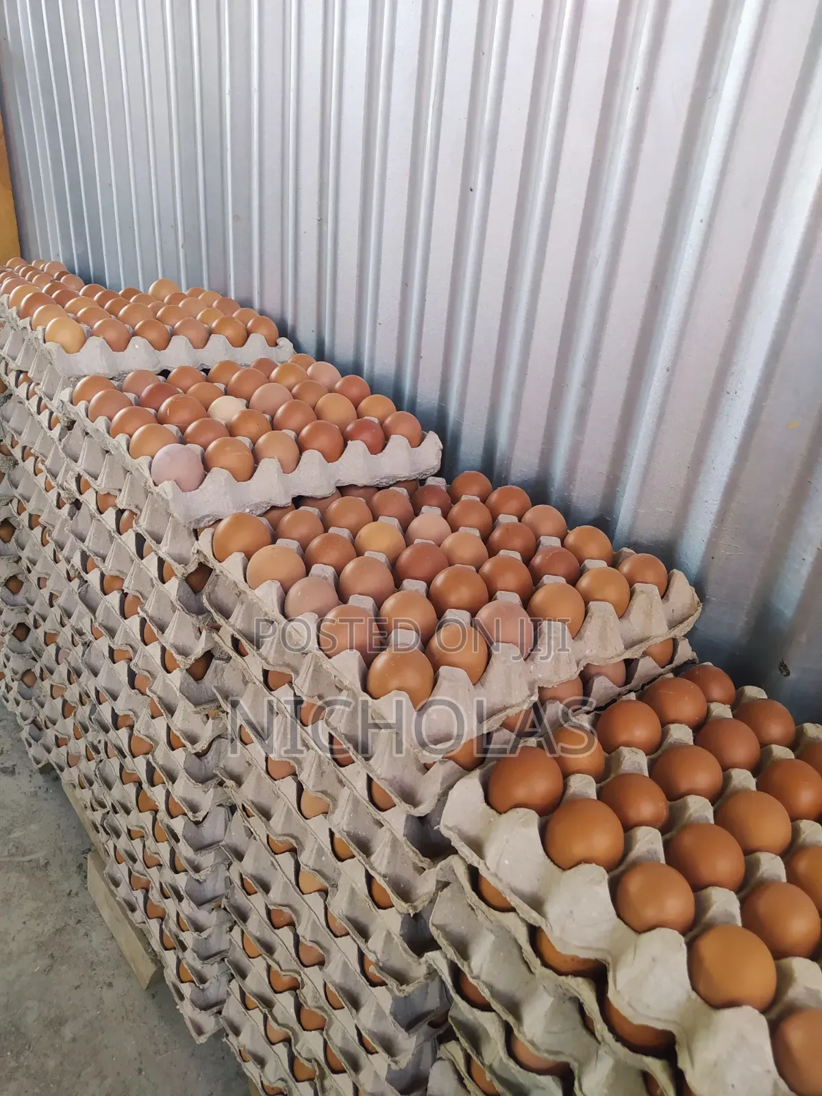 Fresh Farm Table Eggs Wholesale
