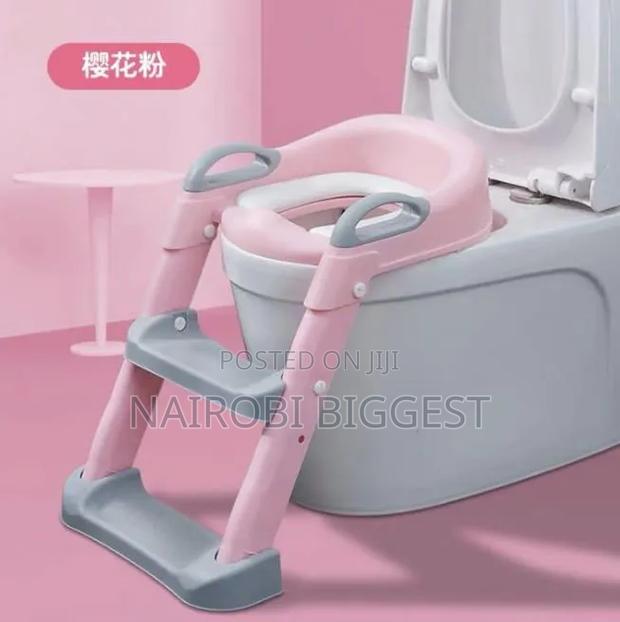 Toilet Ladder