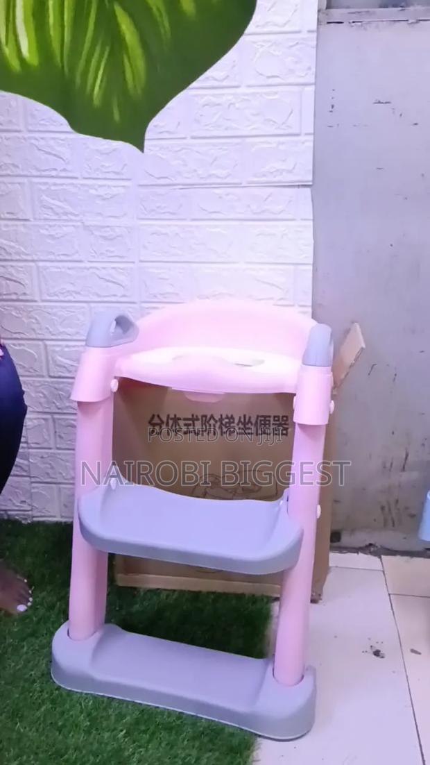 Toilet Ladder - thumbnail 2